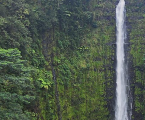 Waterfall in the rainforest